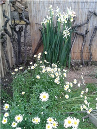 55ed973d-2016-05-11 18.52.39.jpg